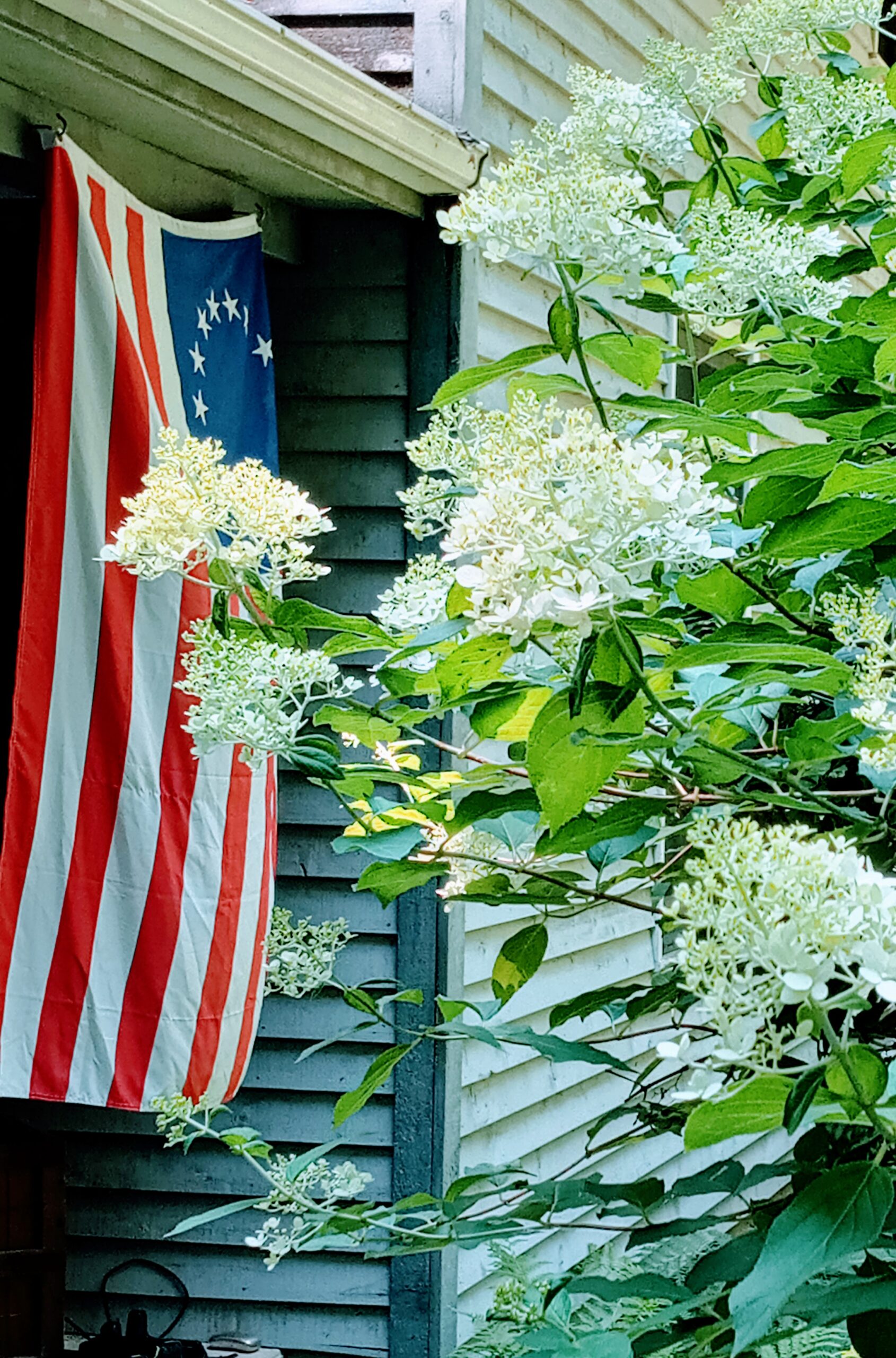 American flag surrounded by white flowers